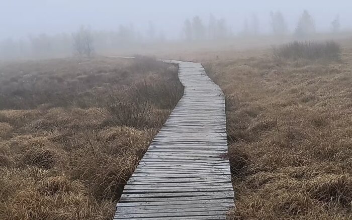 Wandelen